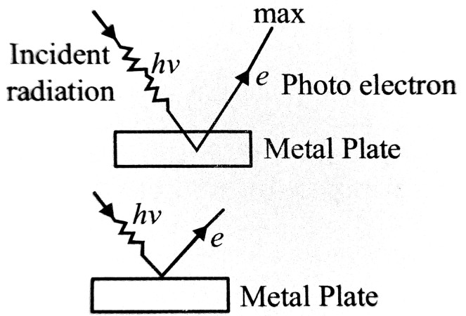 Thomson informed that photo electrons