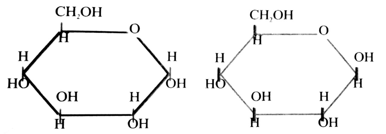 Write the linear and ring forms of sugar.