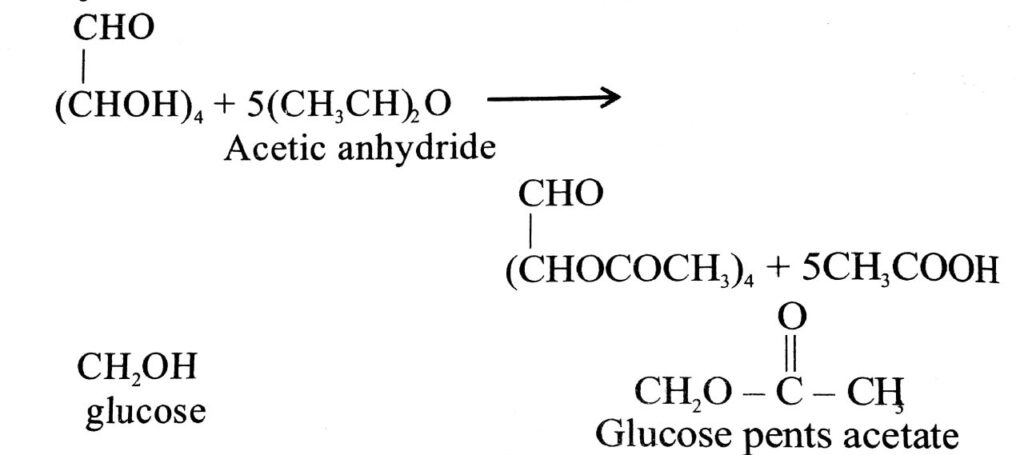 14. BIOMOLECULES – LONG ANSWER TYPE QUESTIONS - High Target