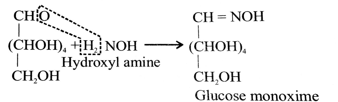 Write the linear and ring forms of sugar.