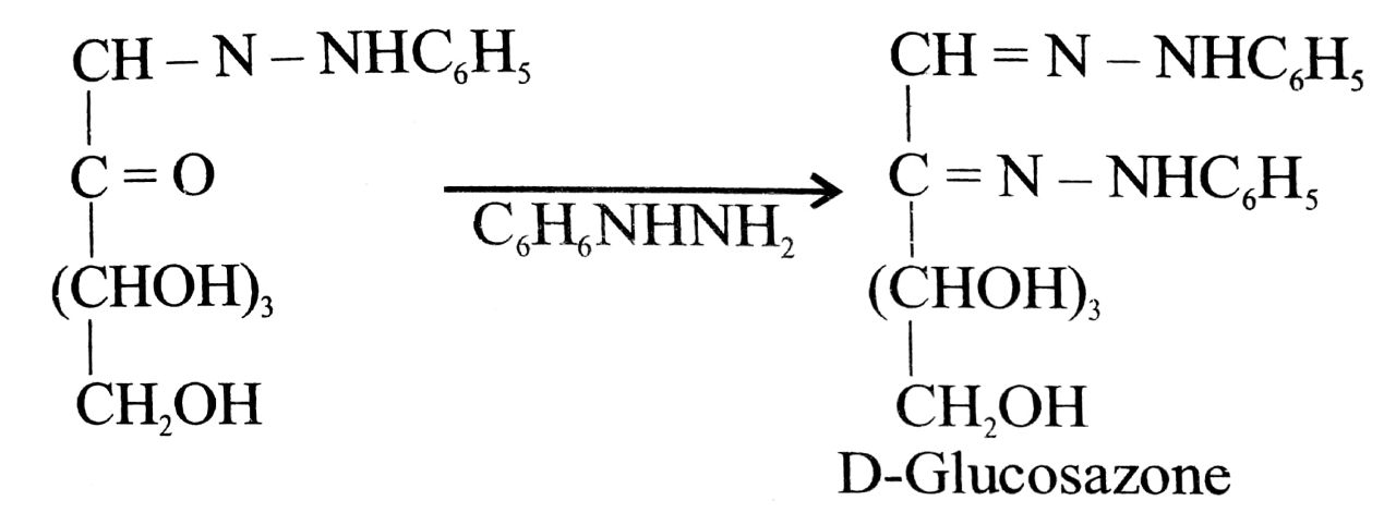 D-glucose reacts with phenylhydrazine to give gluco