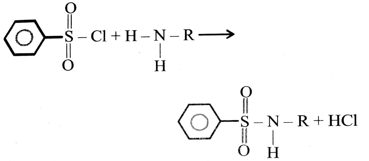 Hinsberg to primary (1° Amine)