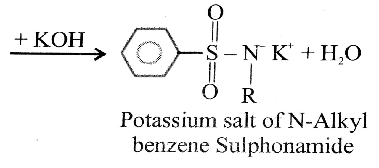 Hinsberg to primary (1° Amine)