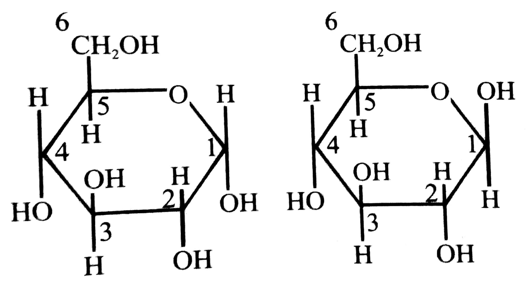 αD(+) ग्लूकोपाइरेनोज और β(D)+ ग्लूकोपाइरेनोस की हावर्थ संरचना लिखें