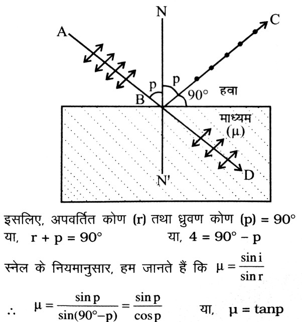 ब्रूस्टर के नियम