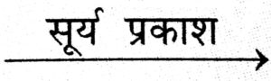 हरे पौधे में प्रकाश-संश्लेषण की दो स्थितियाँ कौन-सी हैं